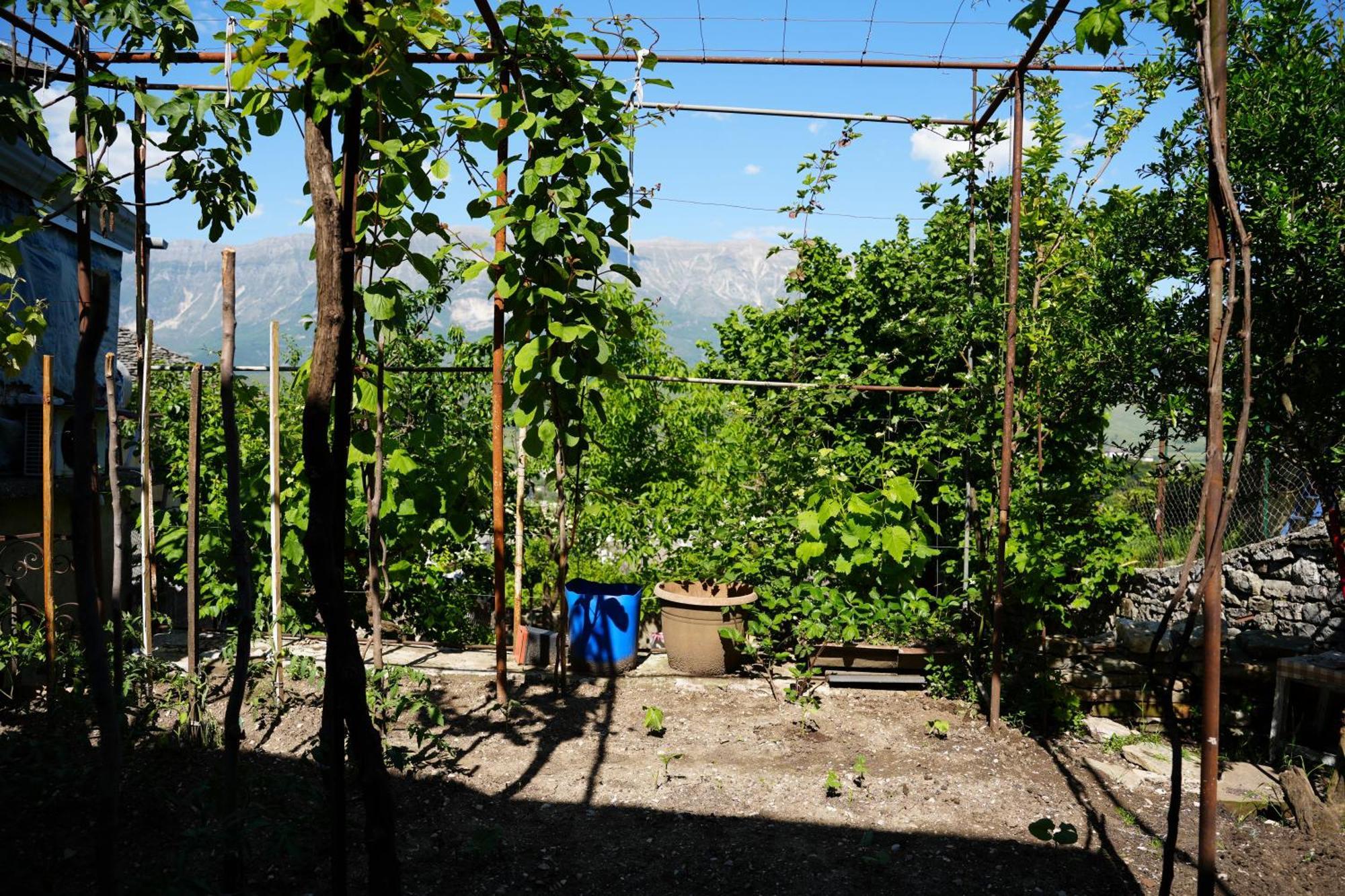Guest House Denis Gjirokaster Luaran gambar